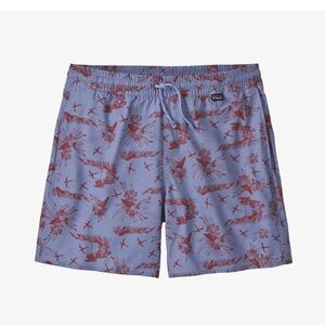 Patagonia Hydropeak Board Shorts size Large